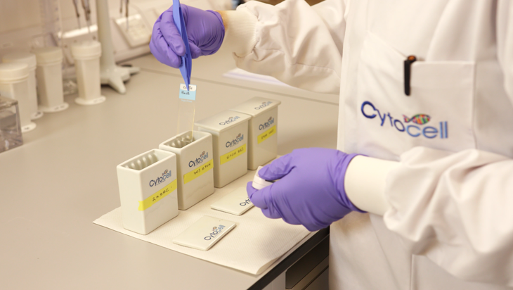 CytoCell hematology FISH protocol (2 minutes) Image