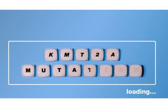 Blog - Myeloid malignancies’ driver mutations Part 2: KMT2A, a gene for epigenetic regulation