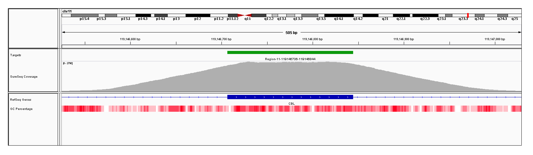 CBL Exon 6 (hg19 chr11:119146707-119146844). Depth of coverage per base (grey). Targeted region (green). Gene coding region as defined by RefSeq (blue). GC percentage (red). Image