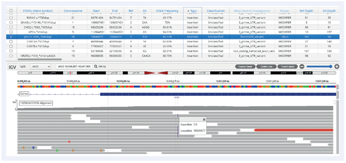 An insertion within JAG1