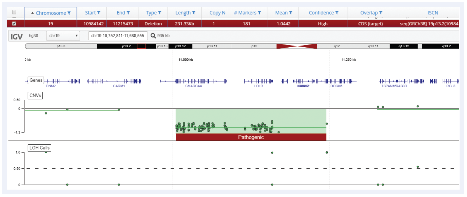 Figure 5: Small 231 kb deletion detected on chromosome 19 using Interpret with CytoSure Constitutional NGS.