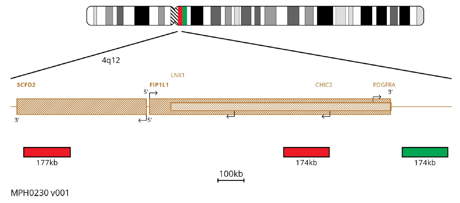 MPH0230 PDGFRA Breakapart FISH Probe Chromosome Map
