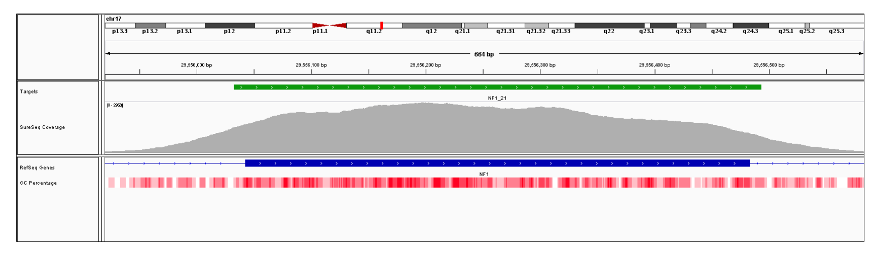 NF1 Exon 21 (hg19 chr17:29556043-29556483). Depth of coverage per base (grey). Targeted region (green). Gene coding region as defined by RefSeq (blue). GC percentage (red). Image