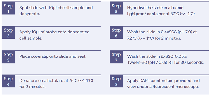 Table 2: Outline of Standard CytoCell FISH Procedure.