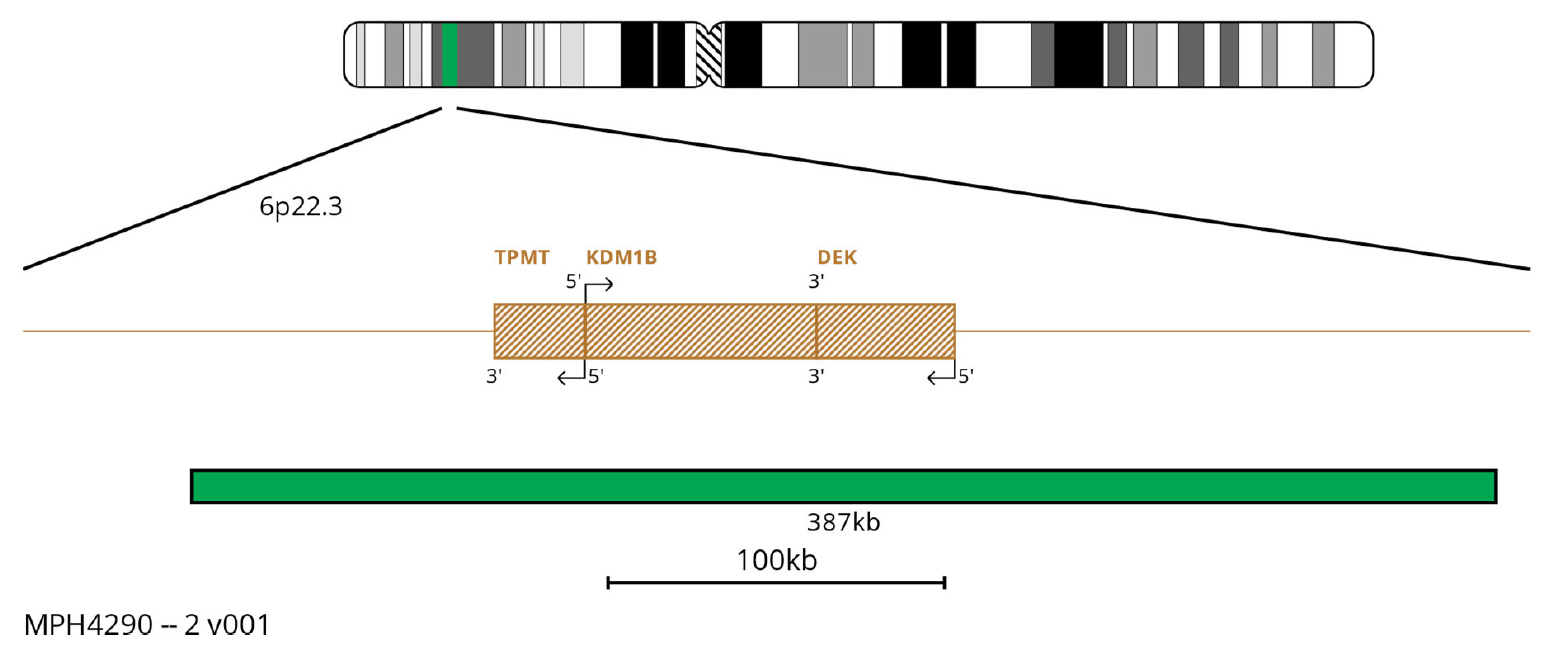 MPH4290 DEK Translocation, Dual Fusion FISH Probe Chromosome Map
