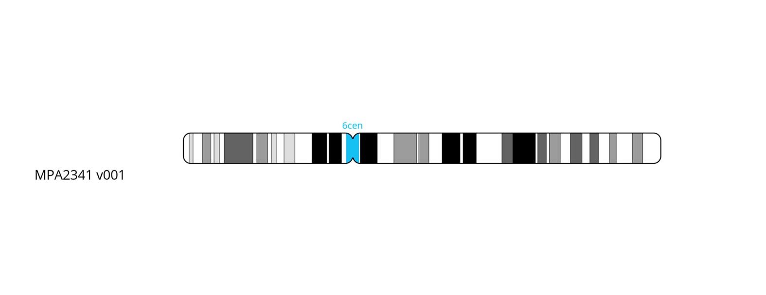 Fluorescence in situ hybridization (FISH) chromosome map showing a probe targeting the centromere region on chromosome 6.