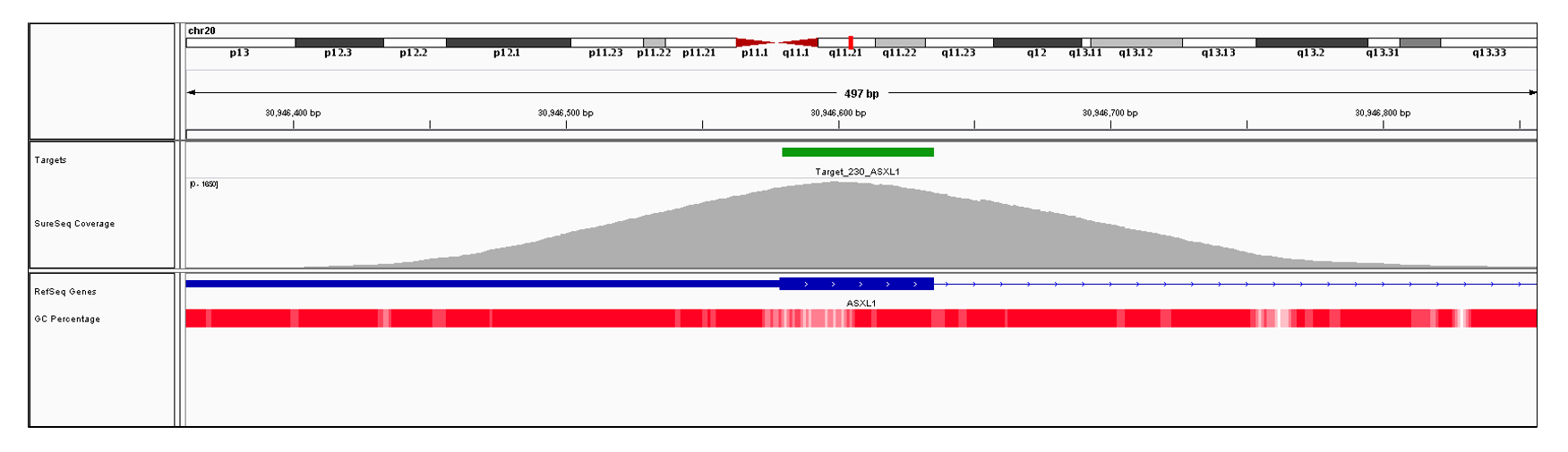 ASXL1 Exon 1 (hg19 chr20:30946147-30946635). Depth of coverage per base (grey). Targeted region (green). Gene coding region as defined by RefSeq (blue). GC percentage (red). Image