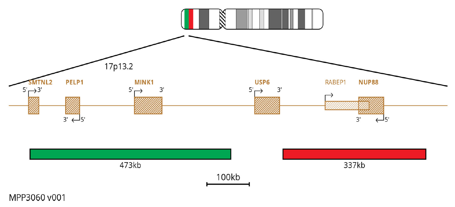 MPP3060 USP6 Breakapart FISH Probe Chromosome Map