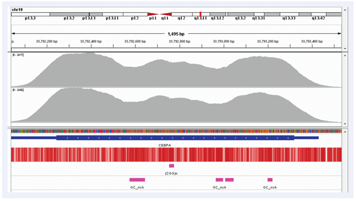 Figure 2: Excellent uniformity of coverage of the CEBPA gene