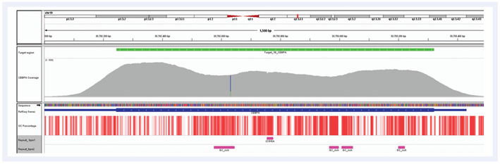 Figure 6. Despite the very high GC content of the CEBPA gene and the number of repeat regions, hybridisation enrichment coupled with expert bait design can still achieve excellent results.