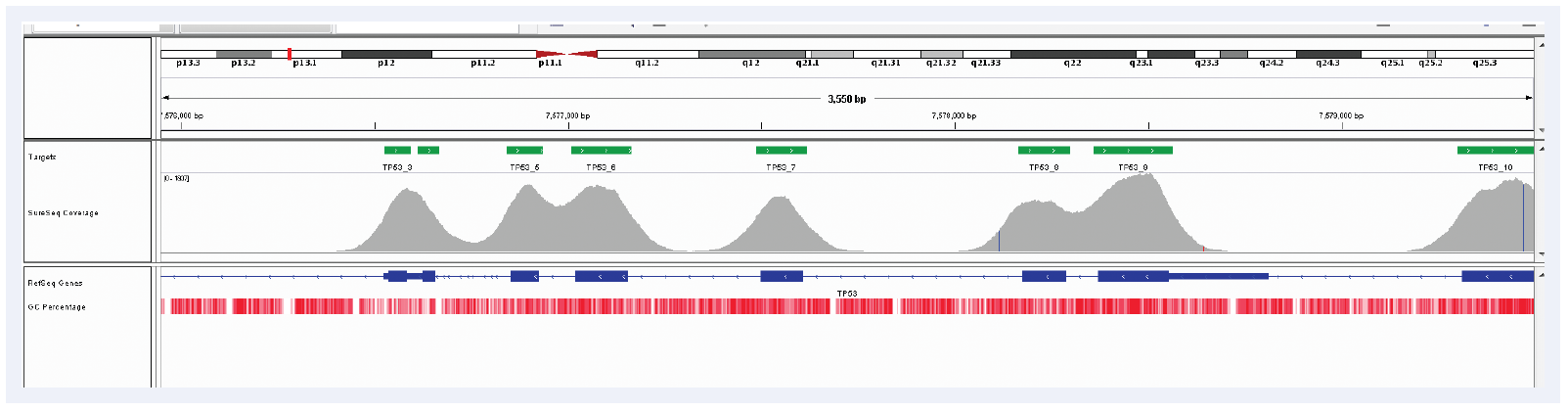 Figure 4: Illustration of the excellent uniformity of coverage of TP53 exons 3 - 9. Depth of coverage per base (grey). Targeted region (green). Gene coding region as defined by RefSeq (blue). GC percentage (red).