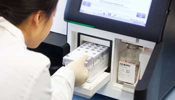 NGS Miseq Run