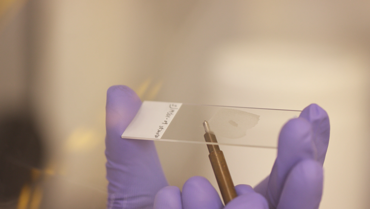 Using the FFPE Pretreatment Kit - De-paraffinisation (1 minute) Image