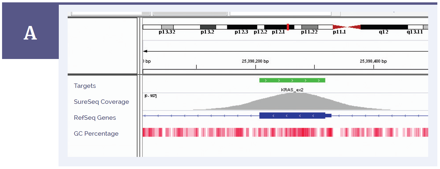 Figure 1a: KRAS exon 2. Depth of coverage per base (grey). Targeted region (green). Gene coding region as defined by RefSeq (blue). GC percentage (red).