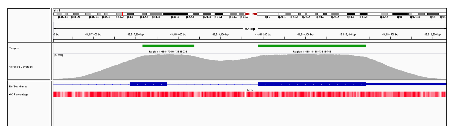 MPL Exons 11 (chr1:43817887-43817974) and 12 (hg19 chr1:43818189-43820135). Depth of coverage per base (grey). Targeted region (green). Gene coding region as defined by RefSeq (blue). GC percentage (red). Image