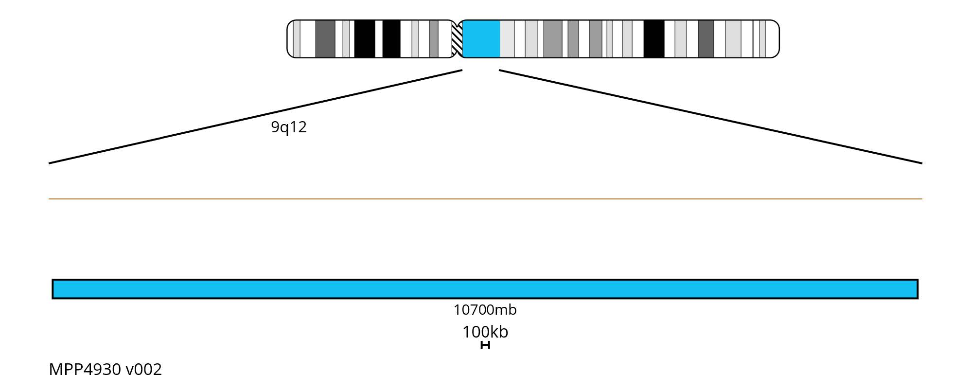 Fluorescence in situ hybridisation (FISH) chromosome map showing a 10700mb probe targeting region 9q12.