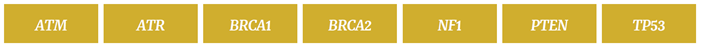 Figure 1: Key ovarian cancer-related genes in the SureSeq Ovarian Cancer Panel