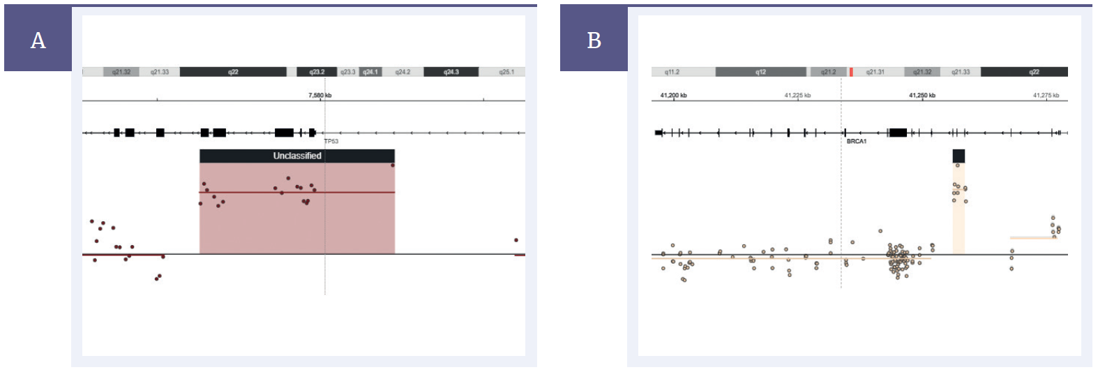 Figure 3: Detection of germline duplications in TP53 and BRCA1. [A] TP53 duplication of exons 2-6 (2.99kb) and [B] BRCA1 duplication of exons 4-6 (2.45kb).