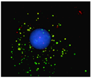 Light damaged probe