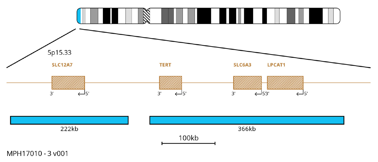 MPH17010 Del (5Q) Plus FISH Probe Chromosome Map 3