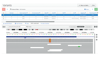 Interpret Software Data V2