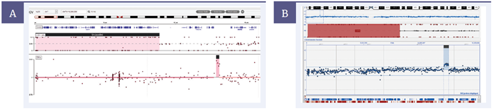 Figure 5: 8.8Mb stretch of LOH on chromosome 7 with a 213kb duplication