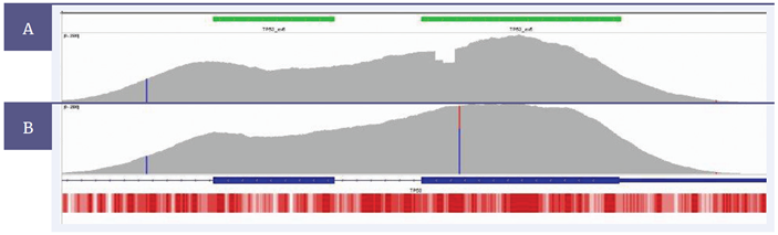 Figure 3: Sequence coverage of TP53 exons 5 and 6 from type II EOC FFPE-derived DNA