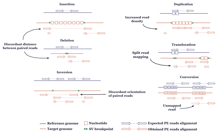 The major variant types and their characteristic read-alignment patterns for variant calling in NGS