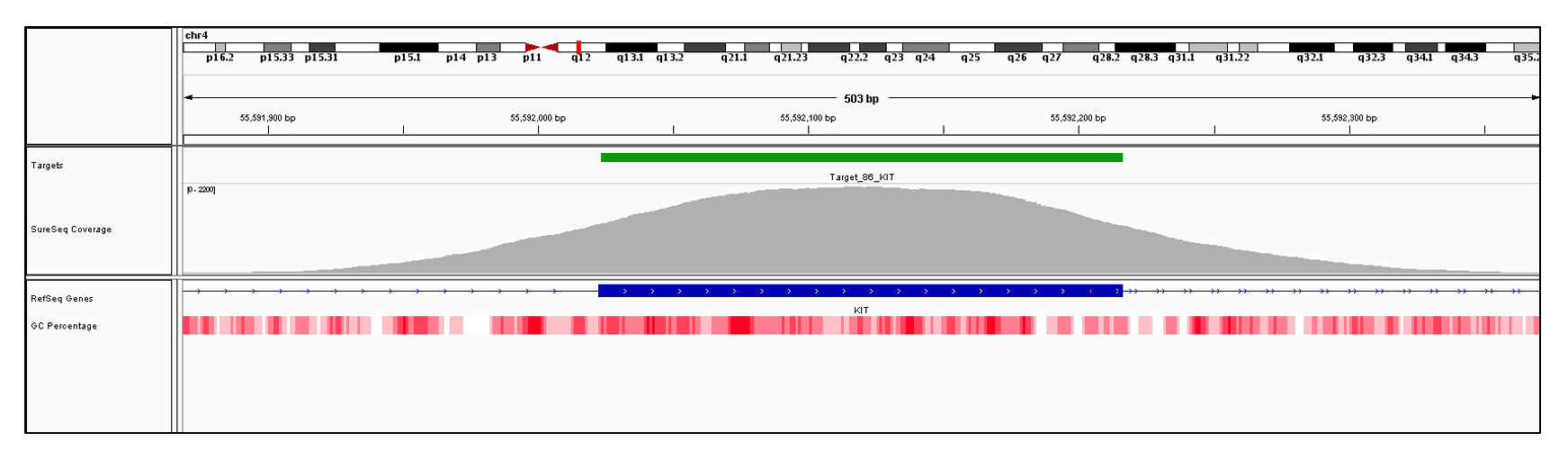 KIT Exon 9 (hg19 chr4:55592023-55592216). Depth of coverage per base (grey). Targeted region (green). Gene coding region as defined by RefSeq (blue). GC percentage (red). Image