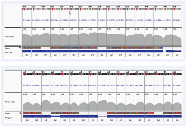 Figure 2: Uniformity of coverage in the LDLR gene (top) and part of the DMD gene (bottom) shown on IGV.