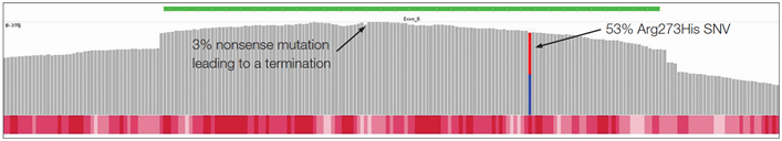 Figure 5: This sample (DIN score 3.0) was found to have two potentially damaging variants in in exon 8 of TP53.