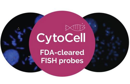 Hematology FISH Probes Offer USA
