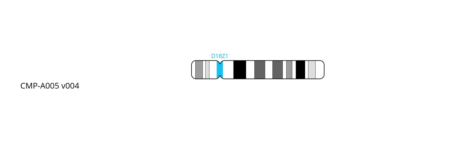 Fluorescence in situ hybridisation (FISH) chromosome map showing an aqua probe targeting the 18 centromere region.